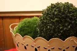 A 2013-01-13 17.02.23.JPG
